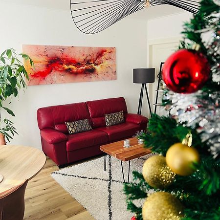 Appartement Cosy Et Lumineux Avec Parking Gratuit Colmar Exterior photo